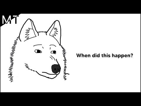 Born to FURRY